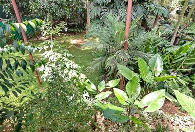 3 Bed House with Garden in Kilimani - 2