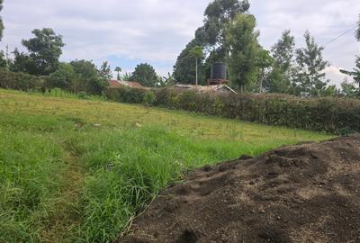 1.2 ac Land in Ruaka