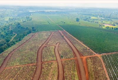 1,000 m² Residential Land at Zuri Springs Estate - 4