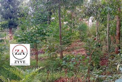 0.125 ac Land at Kasphat Estate