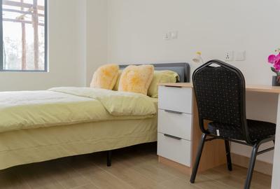 Furnished Studio Apartment with Gym in Juja - 3