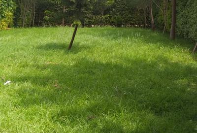 3 Bed Townhouse with En Suite in Kiambu Road - 3