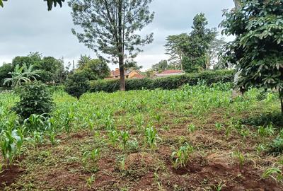 Land at Mimosa Road - 3
