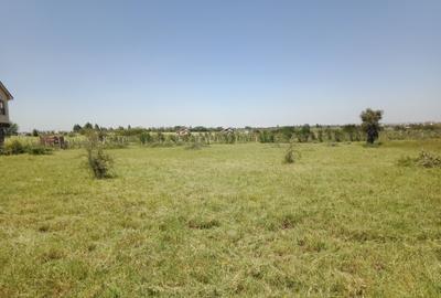 29 ac Land at Kaputiei North