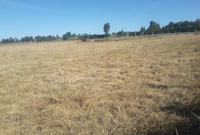 5 ac Land in Kiserian - 3