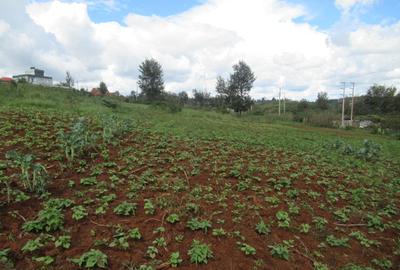 4.5 ac Land at Kibiko - 4