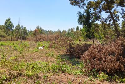 0.1 ha Residential Land at Kamangu