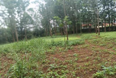 1 m² Land at Kiganjo Road