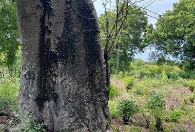 8,093.72 m² Land at Diani 3Rd Row Beach - 4