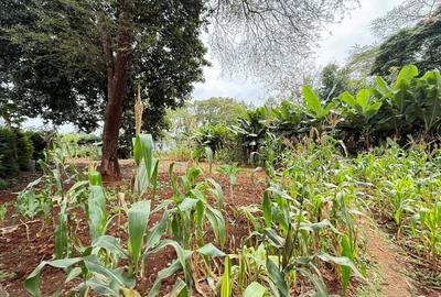 0.5 ac Land at New Kitisuru - 2