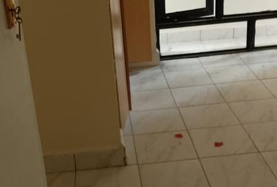 1 Bed Apartment with Borehole in South B