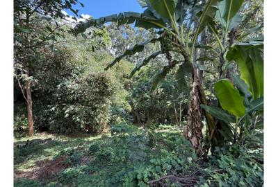 0.6 ac Land at Kitisuru Road - 4