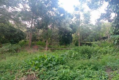 4,856 m² Residential Land in Kitisuru