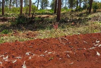 Residential Land at Ruiru-Githunguri - 3