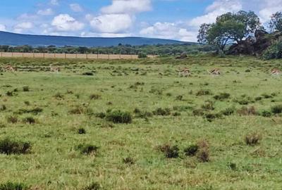 1 ac Land at Moi South Lake Road