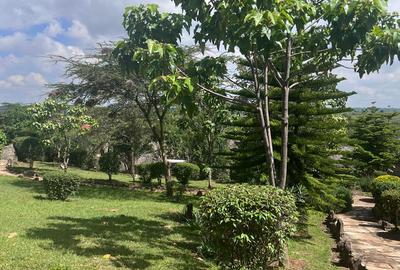 Furnished 7 ac Commercial Property with Backup Generator at Masailodge Road - 4