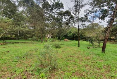 5 ac Land at Miotoni - 2