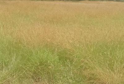 Land in Karen - 2