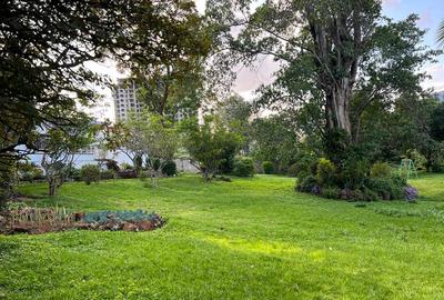 Commercial Land at 30 - 3