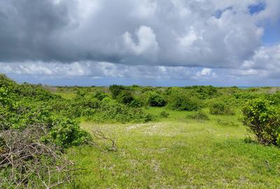 12 ac Land in Watamu - 4