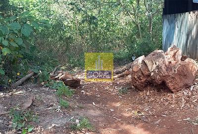 0.5 ac Land in Rosslyn - 3