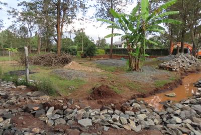 Residential Land at Mukinduri Road - 3