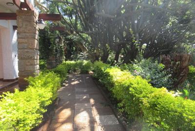 Land at Kanjata Rd - 4