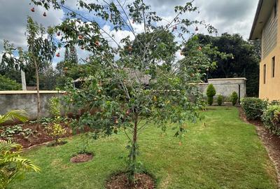 5 Bed House with En Suite in Karen - 4