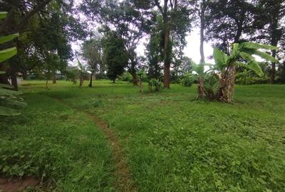 0.8 ac Land at Mumbi Road