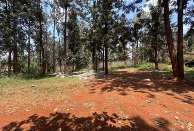 0.75 ac Residential Land at Thindigua