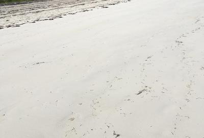 Residential Land at Ukunda