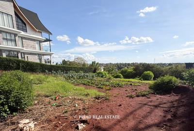 0.25 ac Land at Daykio Bustani - 2