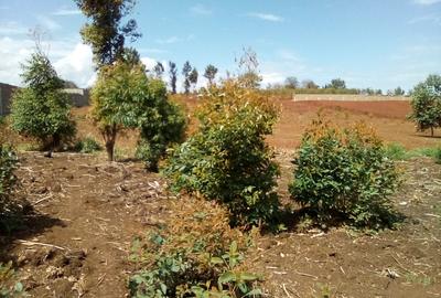 Commercial Property at Northern Bypass Rd - 2