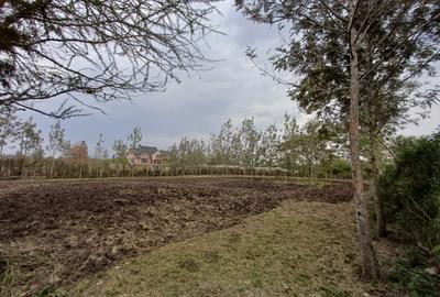 0.5 ac Commercial Property with Parking at Church Street - 4