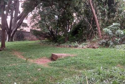 0.65 ac Residential Land at Mbaazi Avenue
