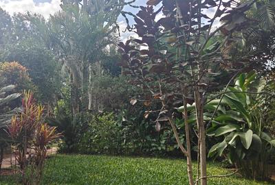 1 Bed House with En Suite in Karen
