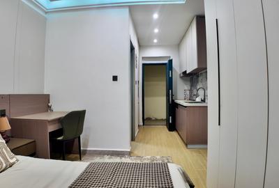 Studio Apartment with Swimming Pool in Mirema - 4