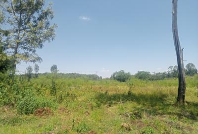 Land in Murang'a County - 4