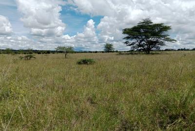 450 ac Land at Mbirika