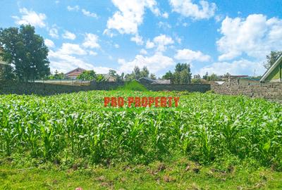 0.1 ha Residential Land at Kiamunyi