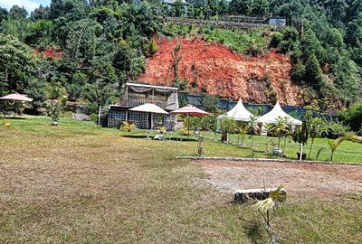 Commercial Property with Garden in Redhill - 3