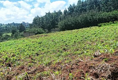 0.669 ac Land in Kikuyu Town - 2