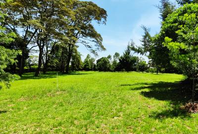 1 ac Residential Land at Karen