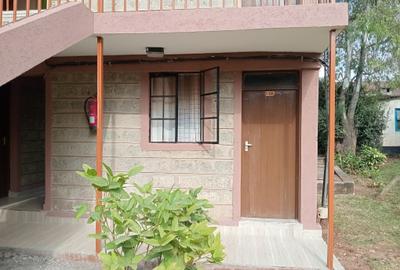 Furnished Bedsitter at Bogani Road