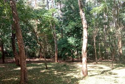 0.5 ac Land at Runda Evergreen