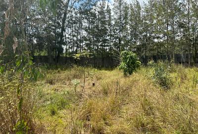 0.5 ac Land in Karen