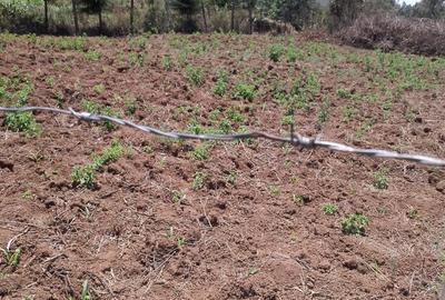 0.05 ha Residential Land in Kamangu