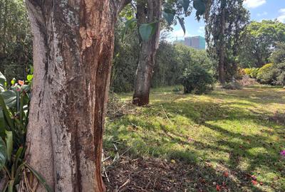 Land at Lavington - 3