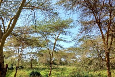 Land at Near Sgera And Olpajeta