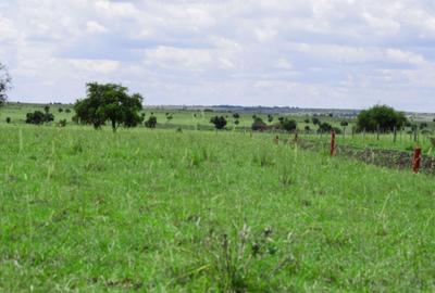 Residential Land at Kitengela Ostrich Farm